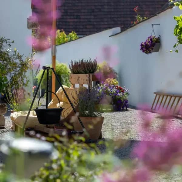 Freundinnen-Wochenende am Neusiedler See – Entspannung & gemeinsame Auszeit