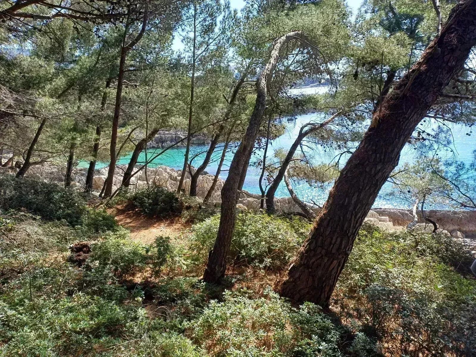 Frauenkraft Retreat in wunderschöner Villa in Kroatien buchen