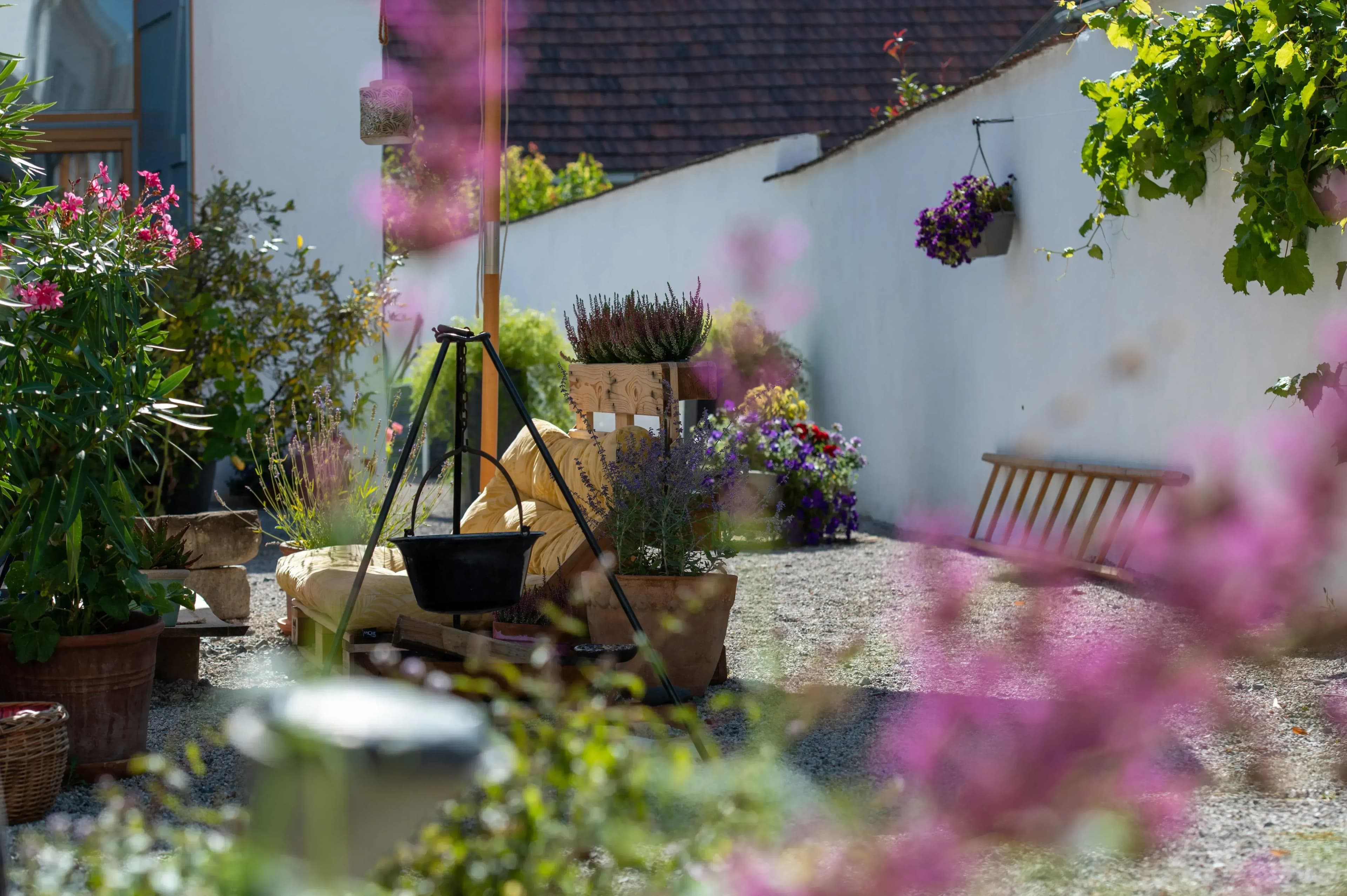 Ganzheitliche Fastenkur in gemütlichem Apartment am Neusiedler See