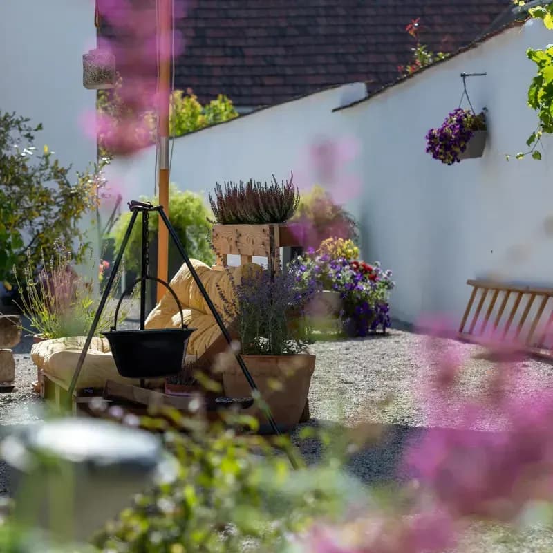 Freundinnen-Wochenende am Neusiedler See – Entspannung & gemeinsame Auszeit