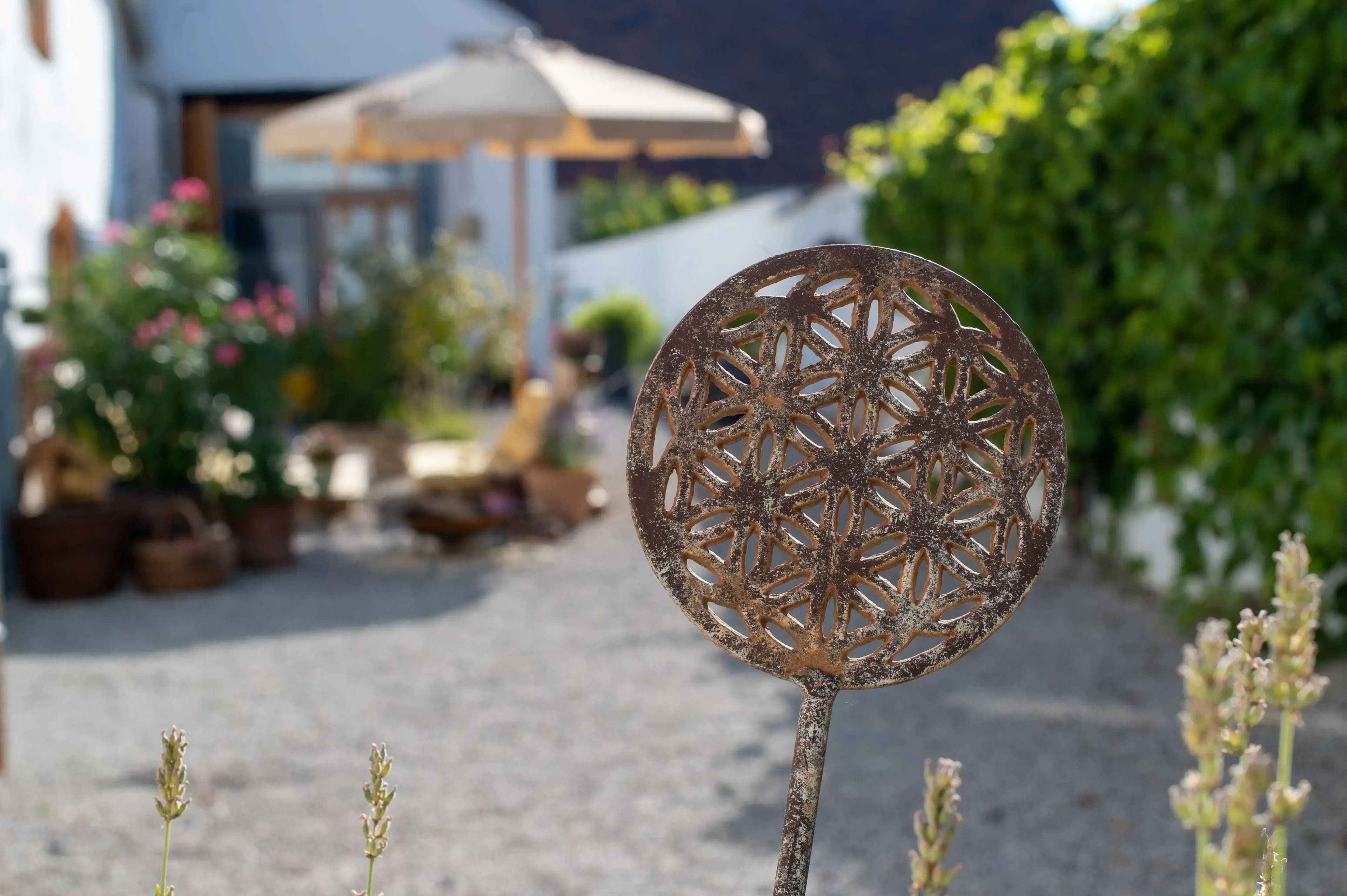 Fastenkur mit Unterkunft am Neusiedler See buchen