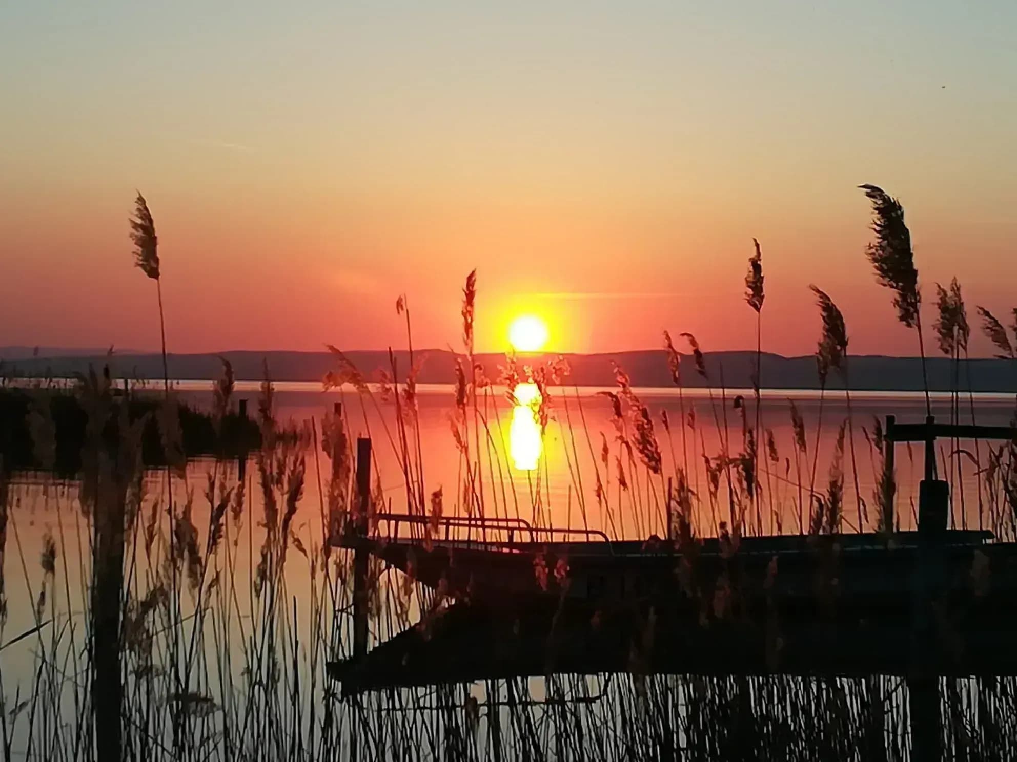 Detox-Retreat in Apartment am Neusiedler See buchen