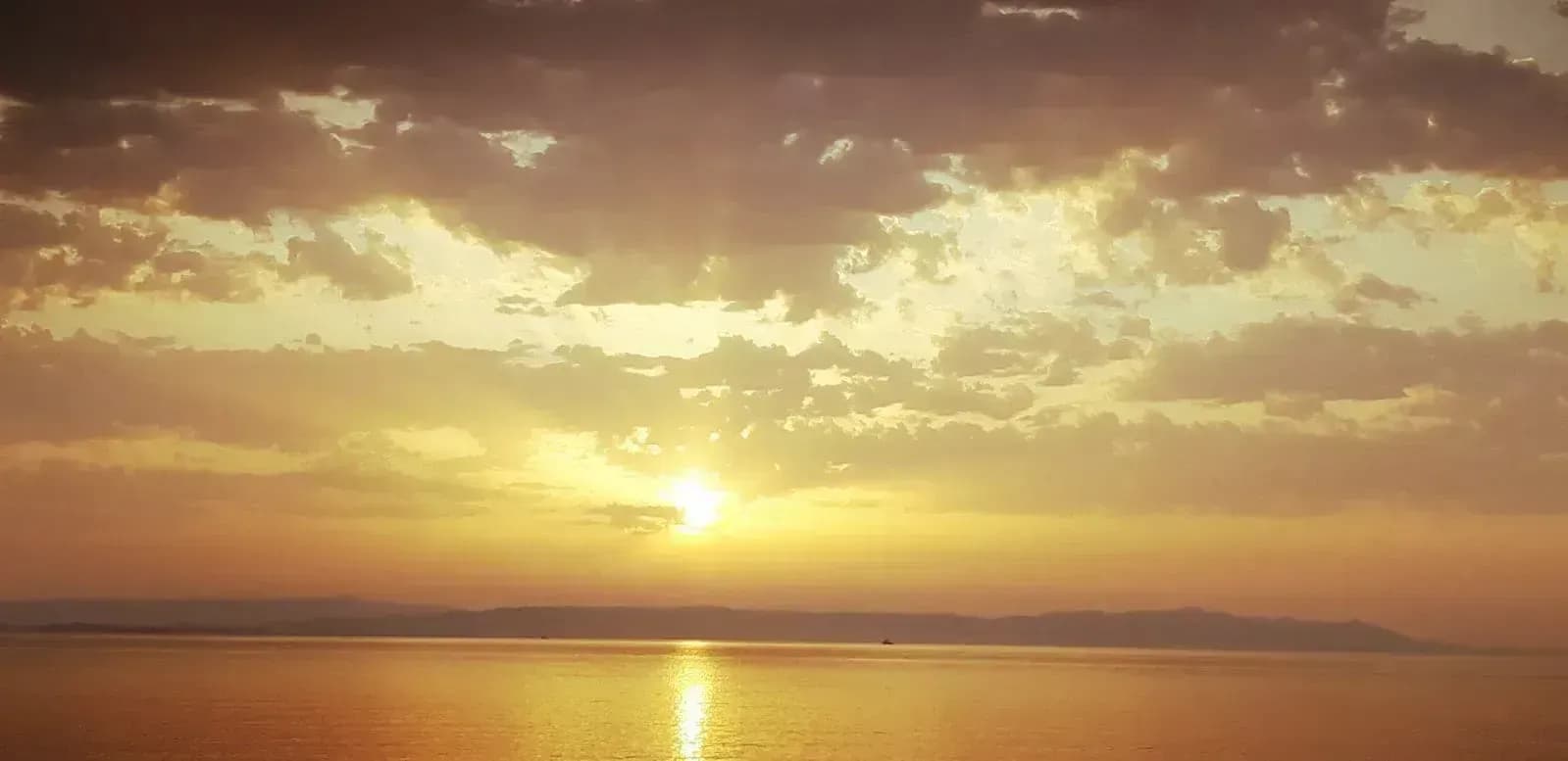 Energetisch begleitetes Fasten am Neusiedler See buchen